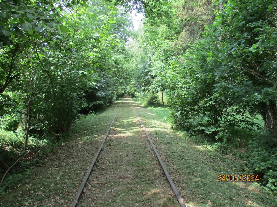 ZWNEGI13